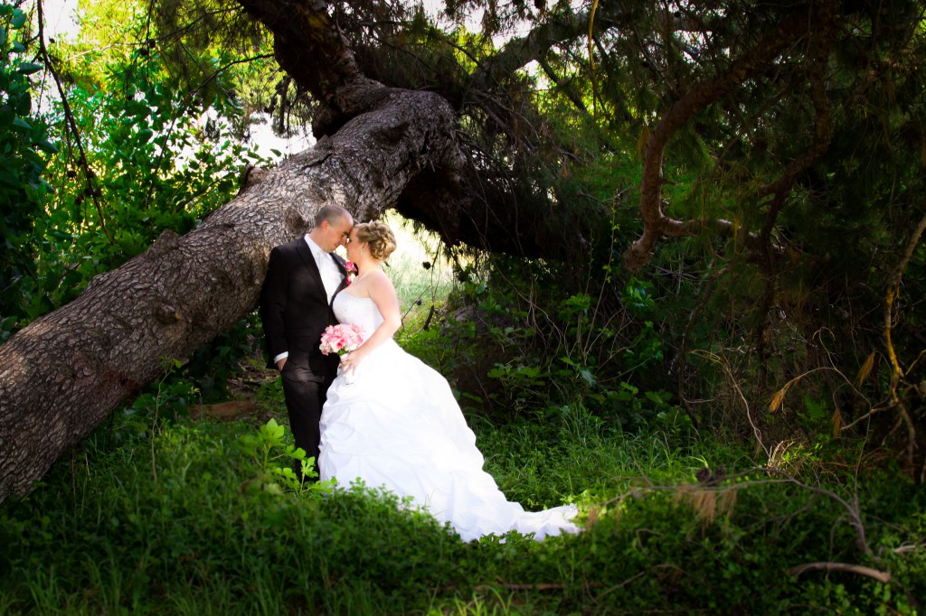 Indian Hills Wedding