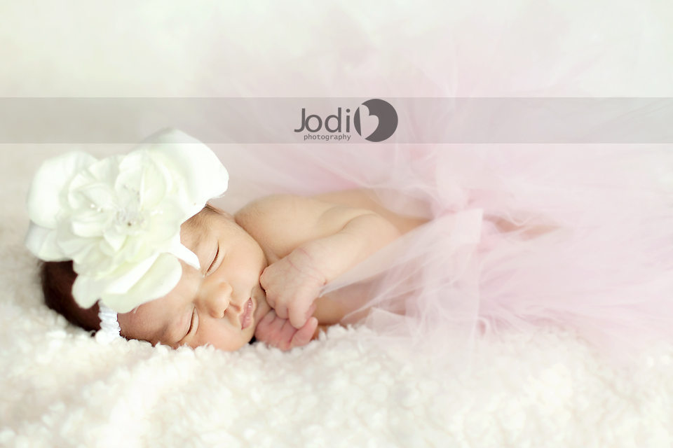 newport beach newborn photographer