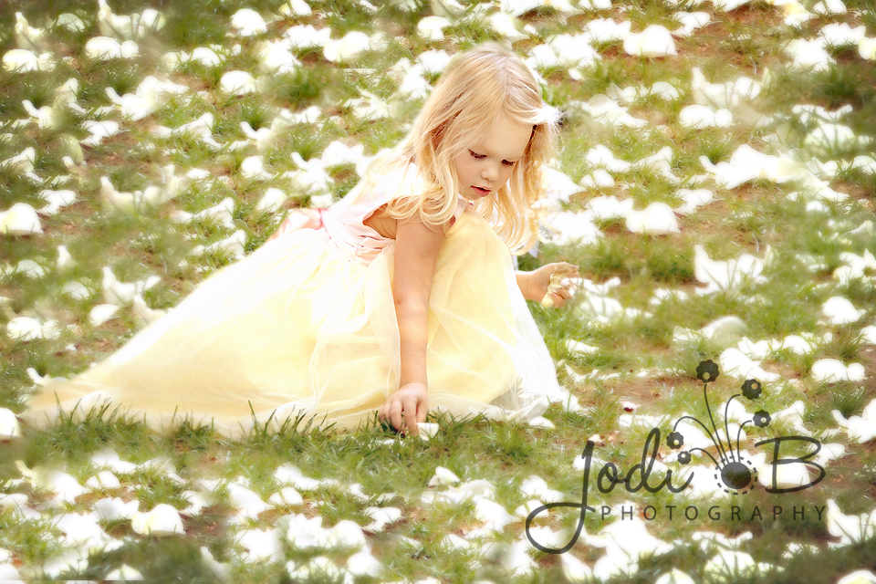 Orange County Wedding Photographer, San Clemente Wedding Photographer