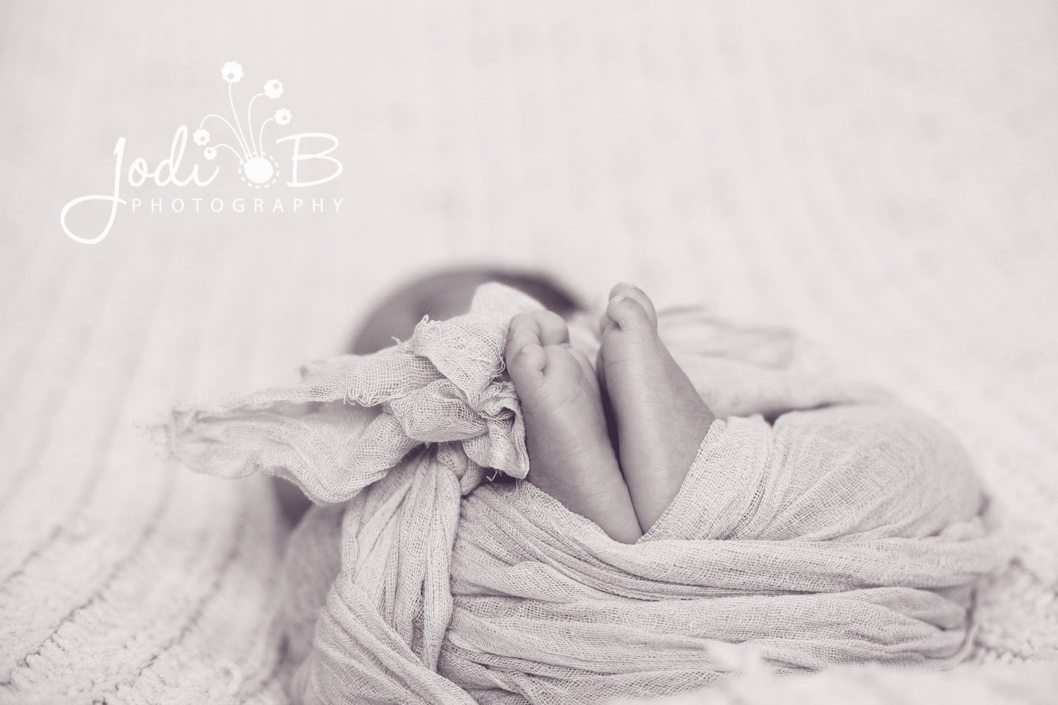 Orange County Newborn Photographer