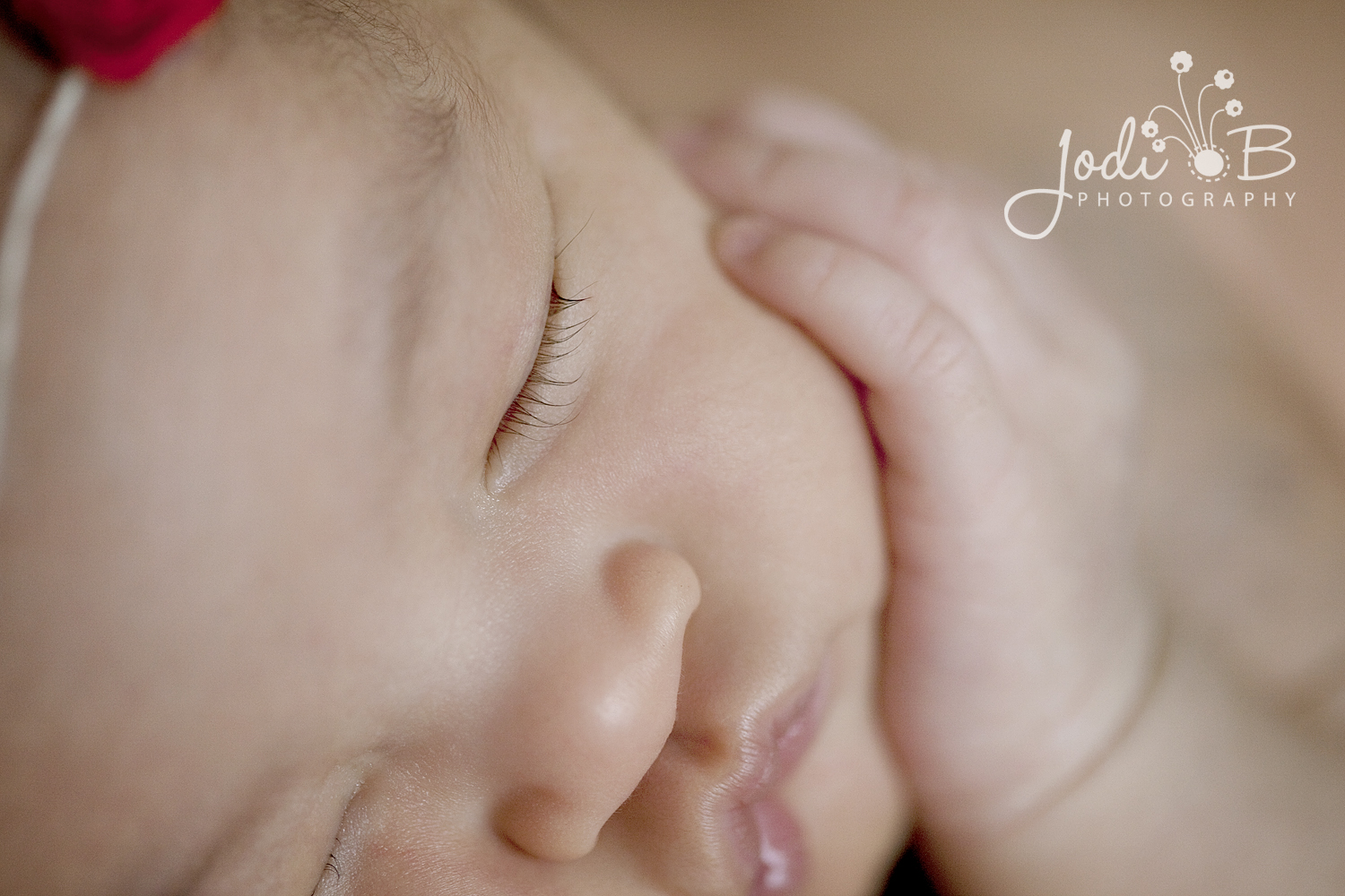 orange county newborn photographer