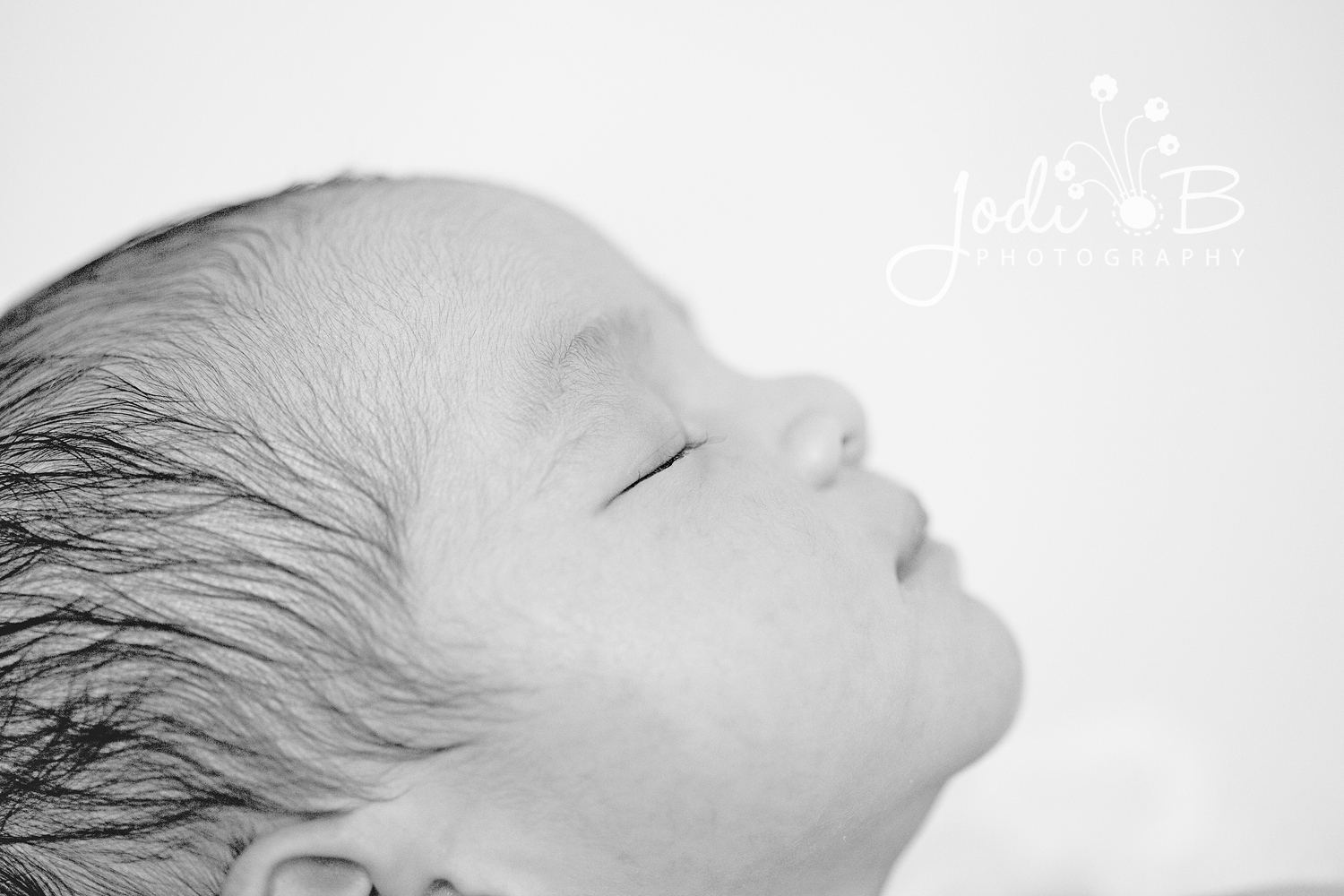 orange county newborn photographer