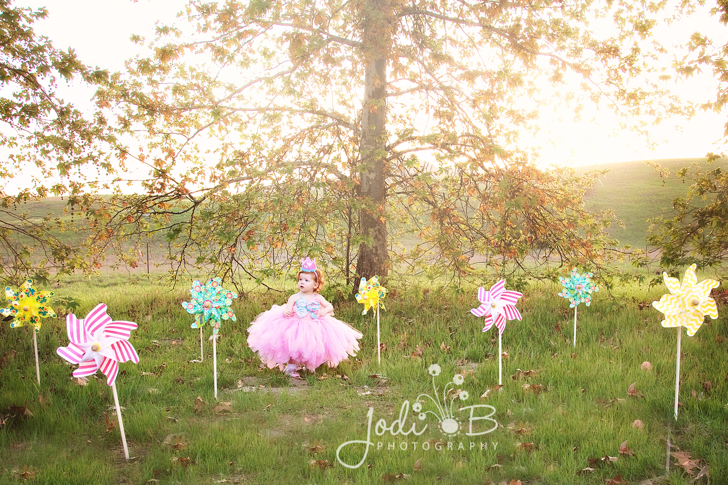 Orange County Cake Smash Photographer