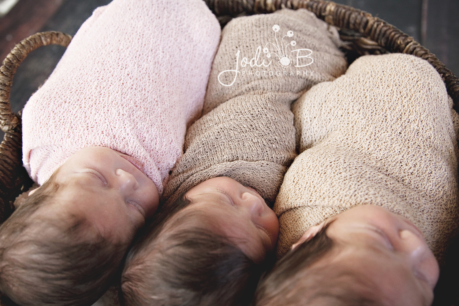 newborn triplets photography