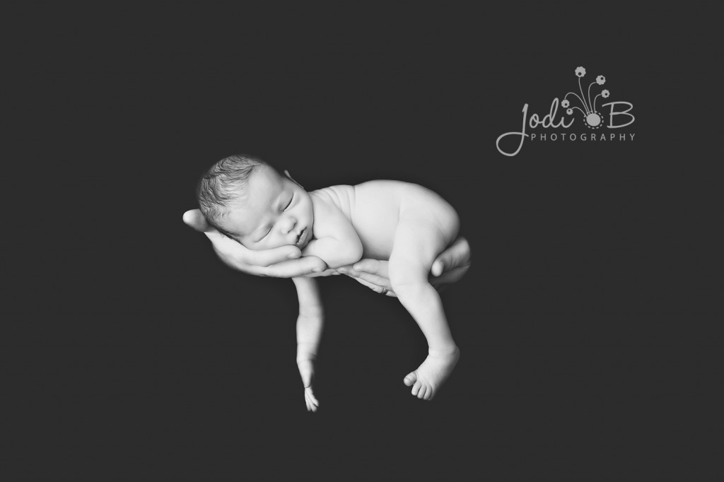 orange county newborn photographer