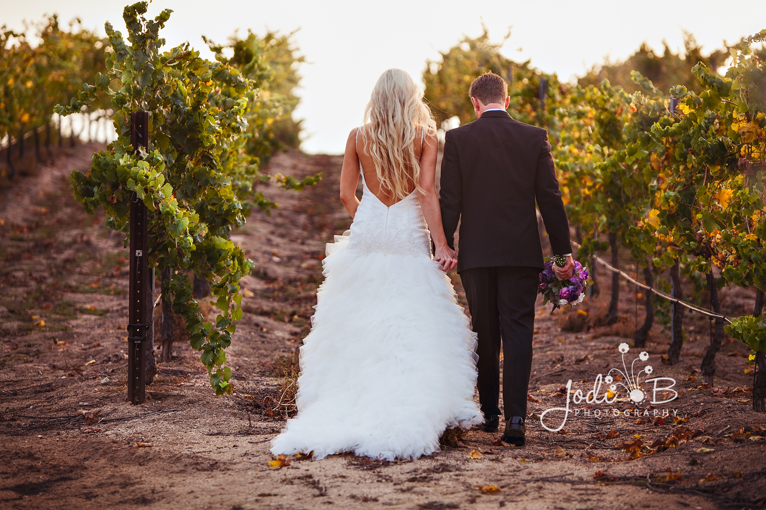 Matt & Jennifer | Mount Palomar Winery, Temecula Winery 0 139