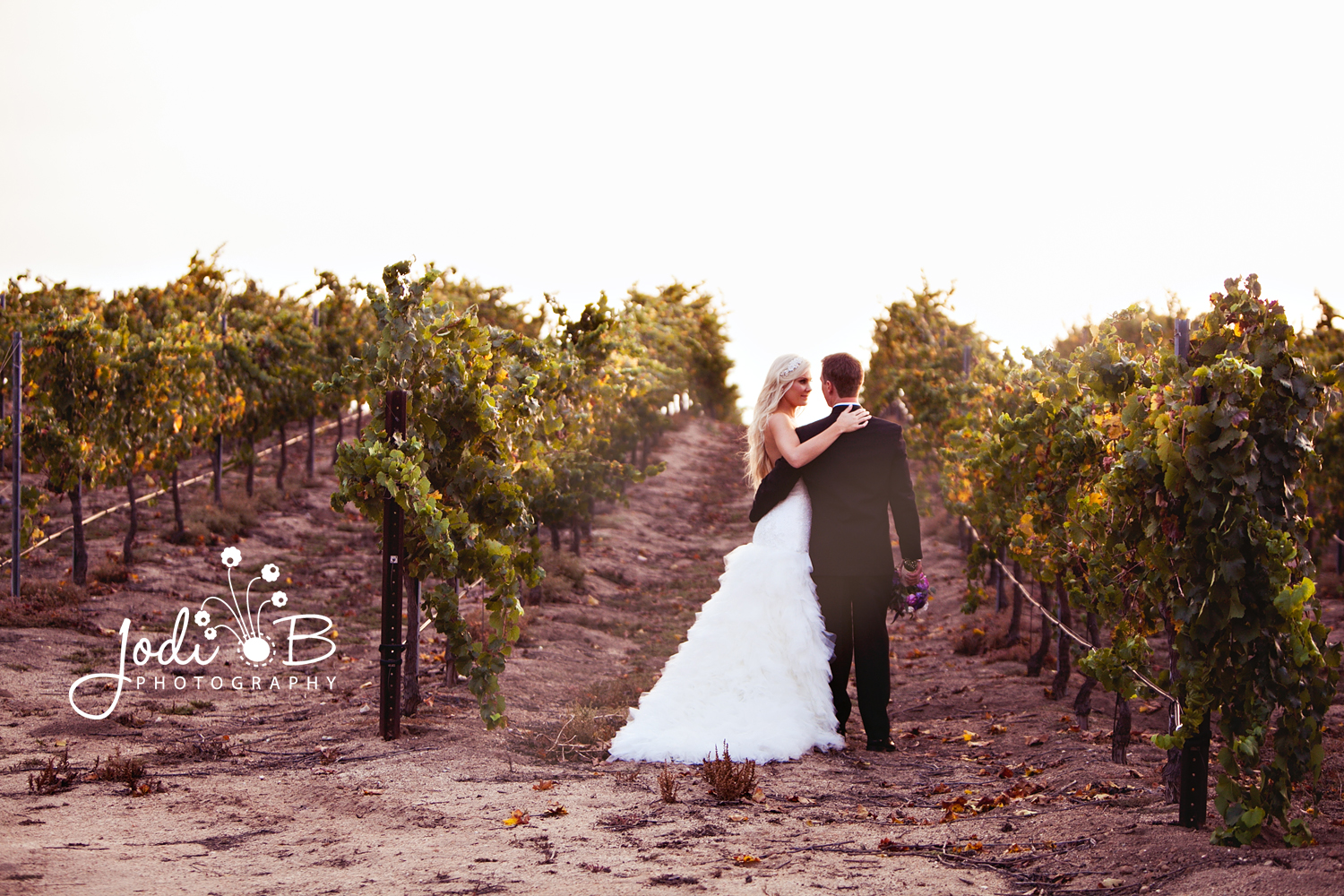 Matt & Jennifer | Mount Palomar Winery, Temecula Winery 0 140