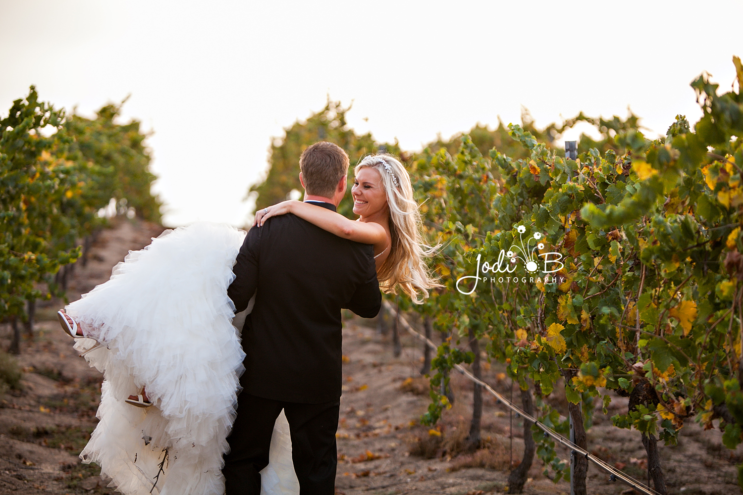 Matt & Jennifer | Mount Palomar Winery, Temecula Winery 0 62